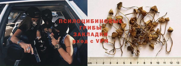 гашиш Богородицк