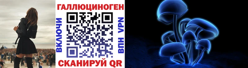 Псилоцибиновые грибы Cubensis  Купить  Коряжма 